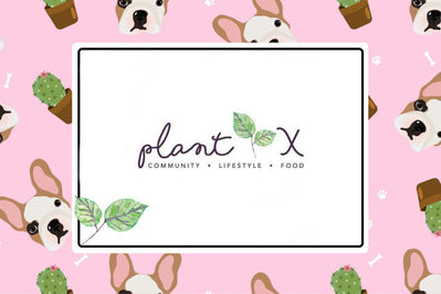 E-commerce platform for plant-based products adds pet food, treat brands