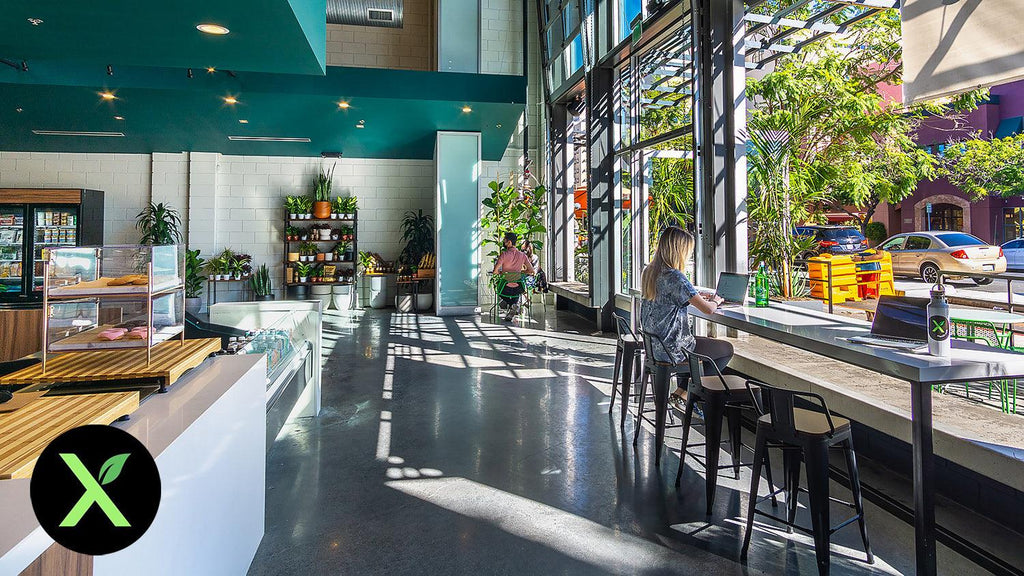 XMarket, the ‘Vegan Amazon,’ Opens a Grocery Store in San Diego