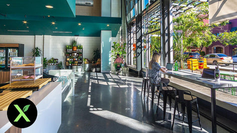 XMarket, the ‘Vegan Amazon,’ Opens a Grocery Store in San Diego