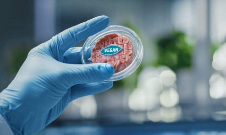 Motif FoodWorks Raises $226 Million Amid Rising Interest In Plant-Based Edible Alternatives
