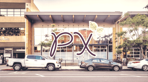 Penny Stocks to Watch: PLTXF