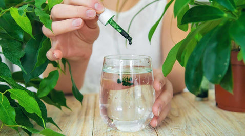 What Are The Essential Supplements For Those On A Plant-Based Diet?