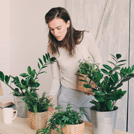 PlantX Plant Care Guide