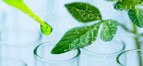 PlantX Life says it achieved record monthly gross revenue of C$1,029,883 in December 2020