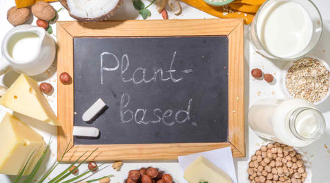Plant-Based Revolution: How the Industry Is Transforming the Food Landscape