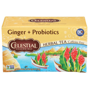 Celestial Seasonings - Herbal Tea Ginger Probiotics, 16 Bags | Pack of 6