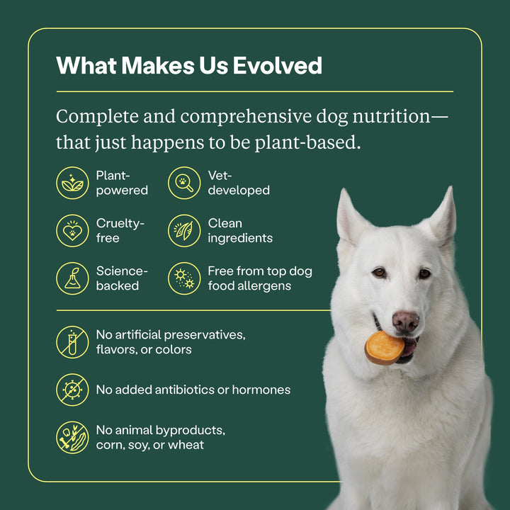 Wild Earth - Immunity & Digestion Dog Supplements, 60pc