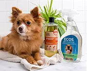 Vegan Pet Food