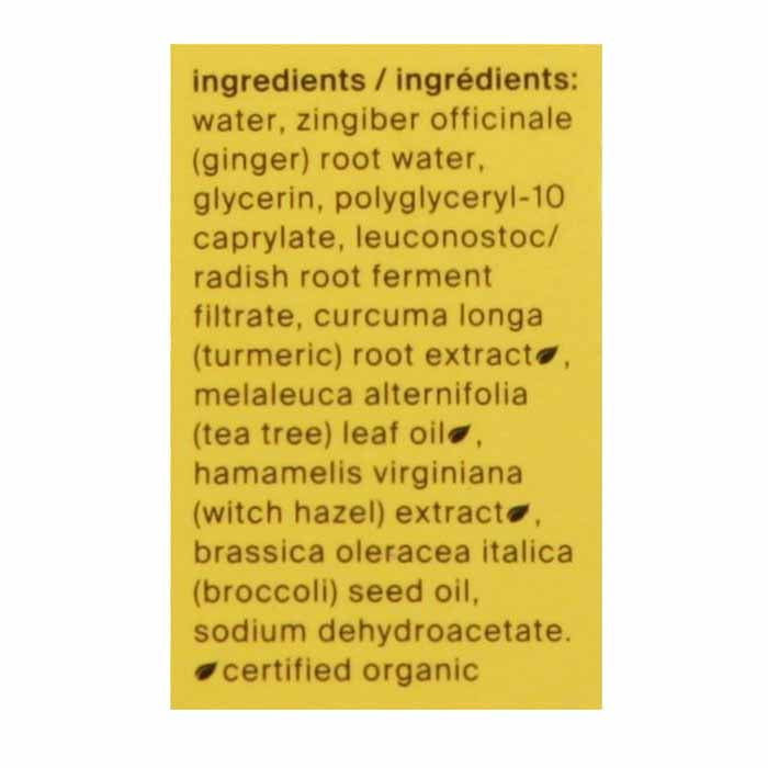 Cocokind - Turmeric Tonic Spot Treatment, 0.33 fl oz - back