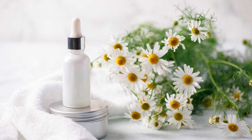 Reasons You Should Use Plant-Based Beauty Products