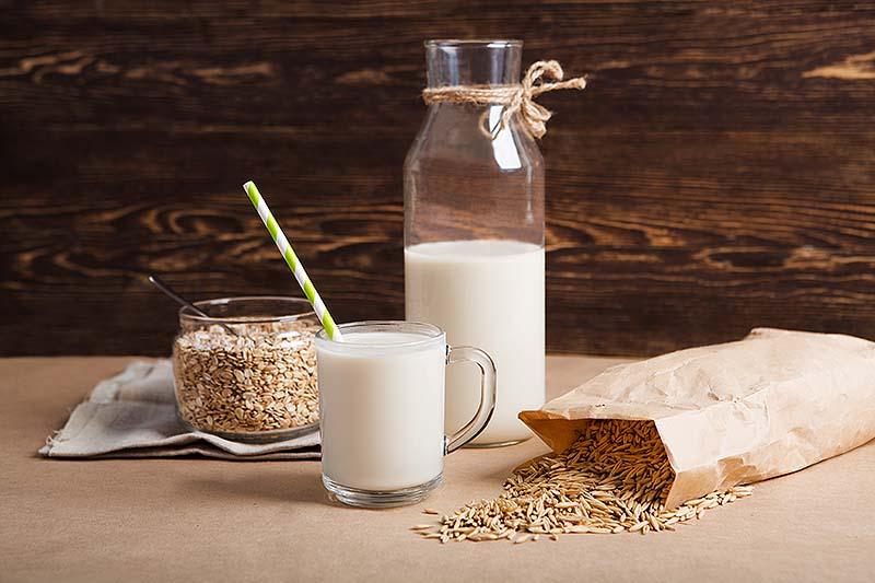 Done with Dairy! Why You Should Skip Out On Milk - PlantX US