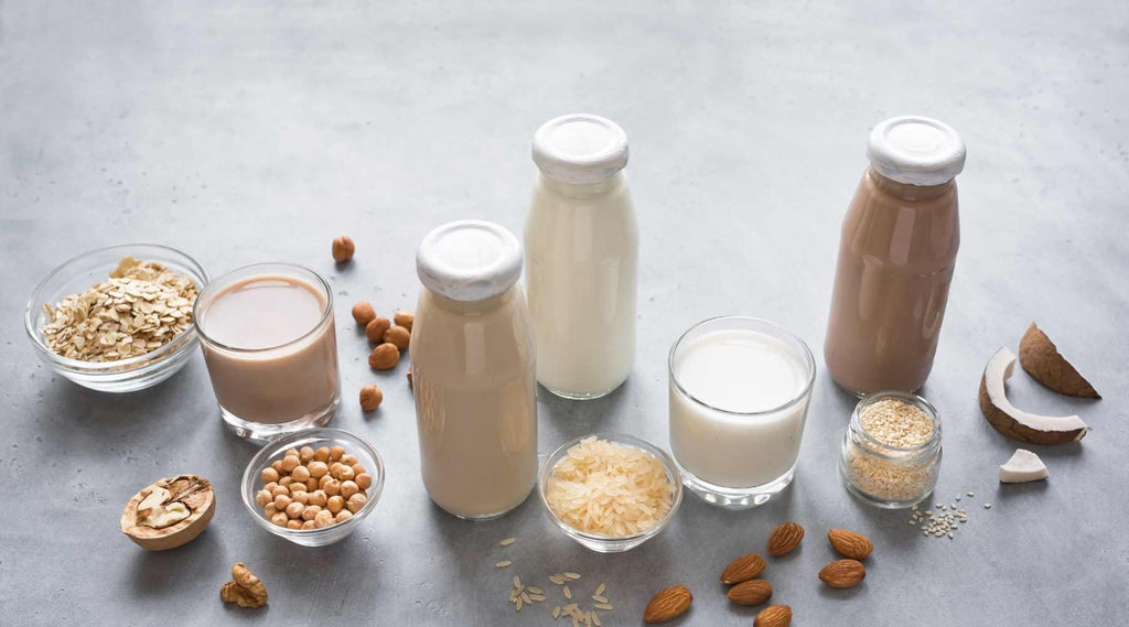 Plant-Based Milk Guide: Everything You Need To Know