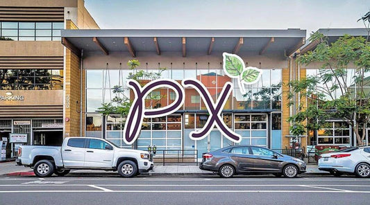 Vegan Marketplace PlantX Files for NASDAQ Listing - PlantX US
