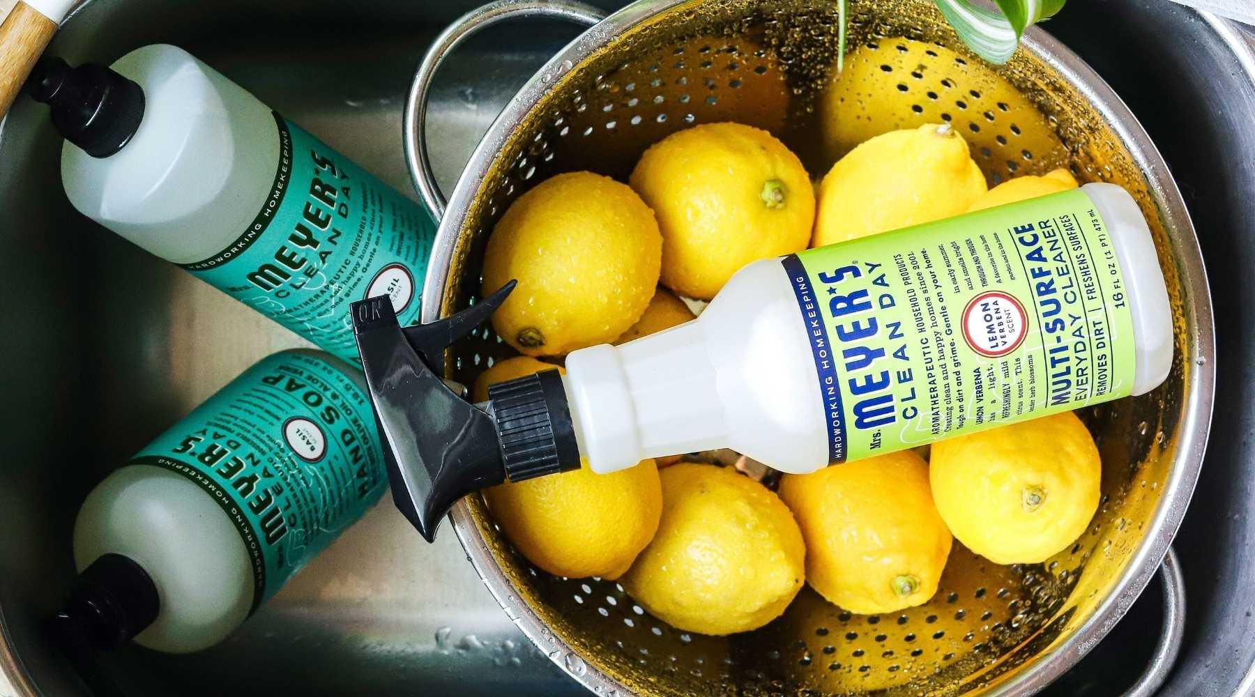 The Best Vegan CrueltyFree Cleaning Products And Brands