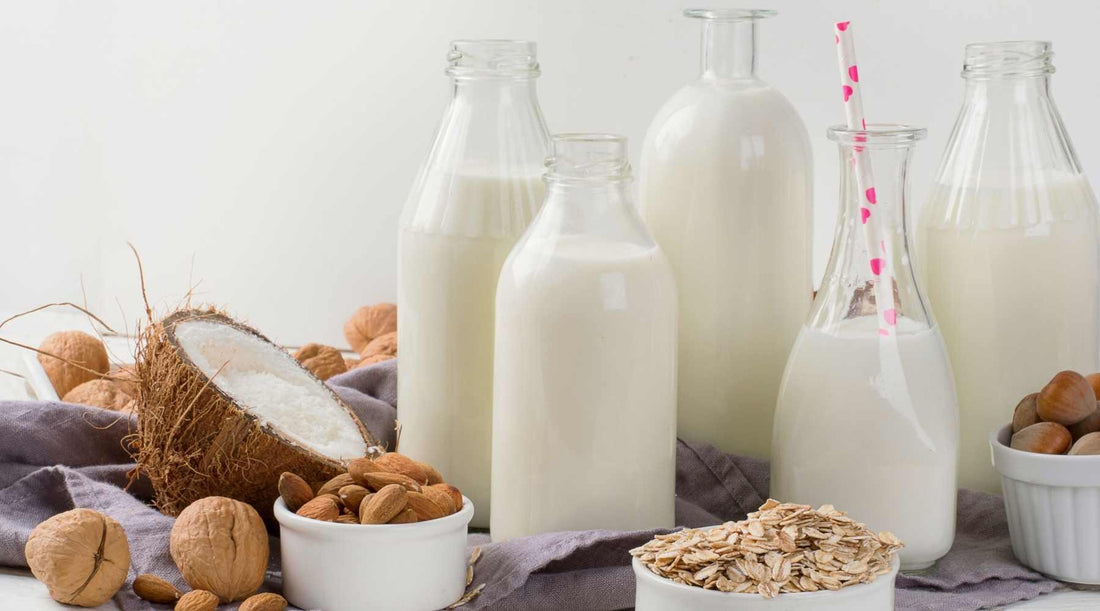 Benefits Of Vegan Milk - Types And Brands