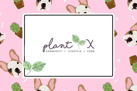 E-commerce platform for plant-based products adds pet food, treat brands - PlantX US