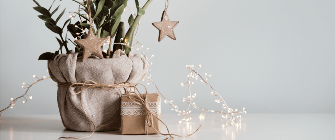 PlantX 2020 Holiday Gift Guide - PlantX US