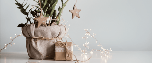PlantX 2020 Holiday Gift Guide - PlantX US