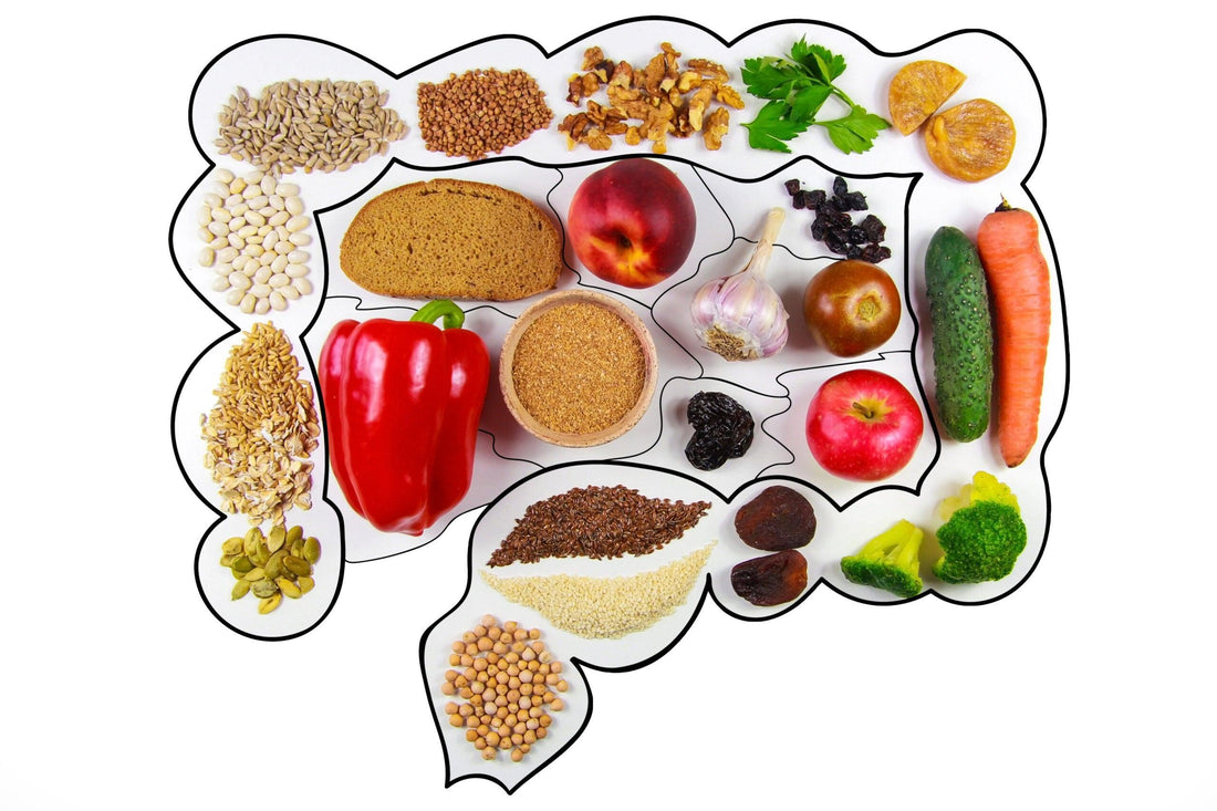 Improve Your Digestion Naturally - PlantX US