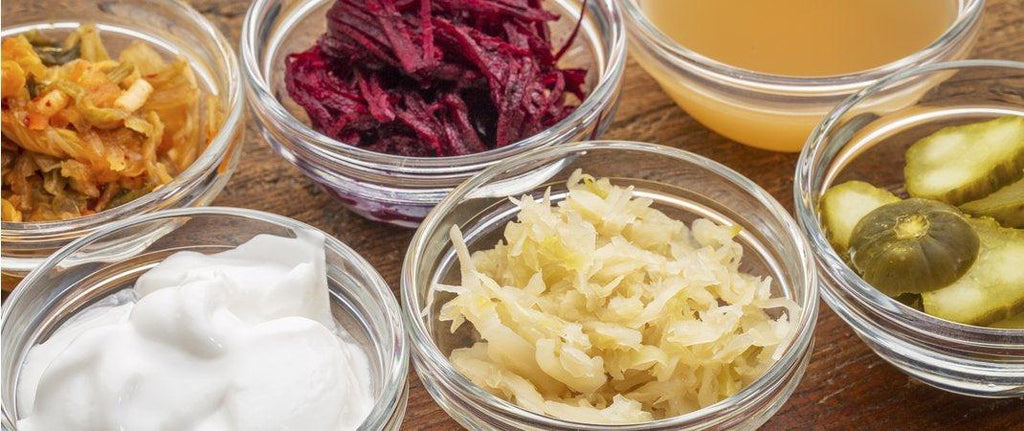 What Are Probiotics?