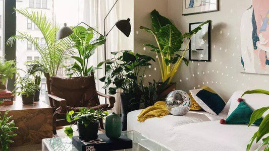 Press-Best place to buy plants online for Mother's Day in 2021