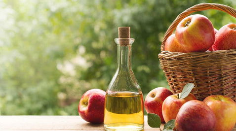 Is Plant-Based Apple Cider Vinegar Good For Your Stomach?