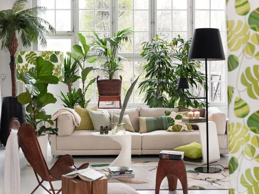 The 5 'It' Plants of 2021, According to the Pros - PlantX US