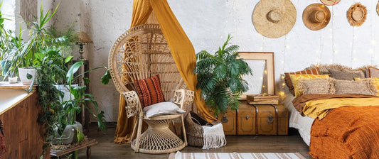 Interior Design Tips For a Plant Based Home: Desert Decor - PlantX US