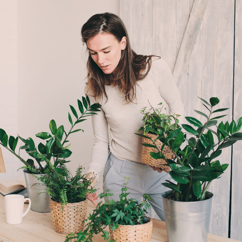 PlantX Plant Care Guide - PlantX US