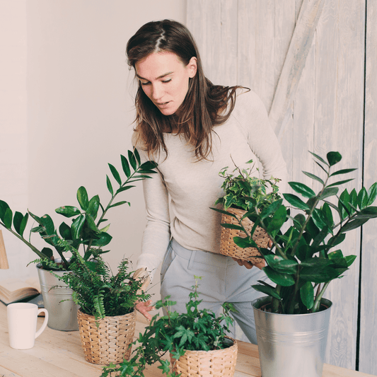 PlantX Plant Care Guide - PlantX US