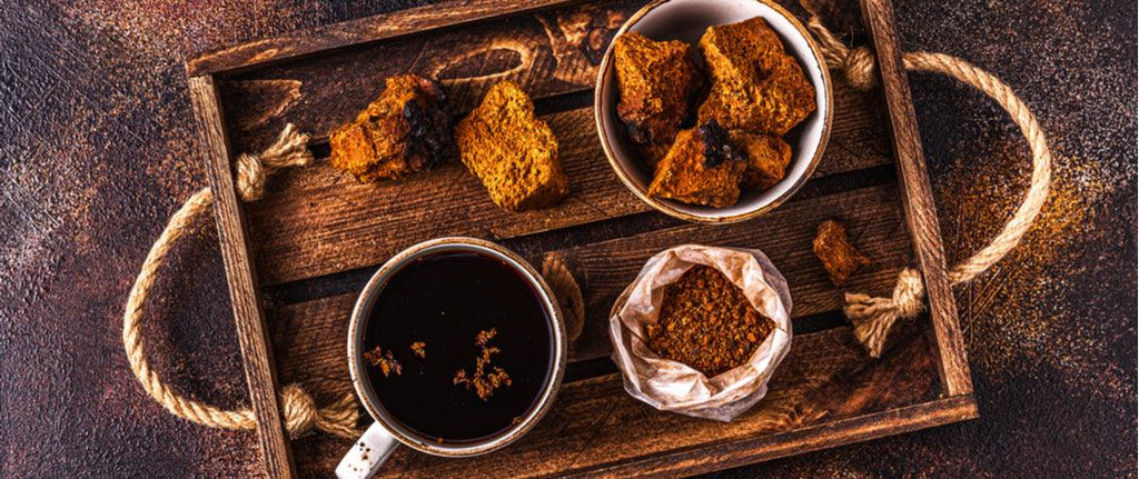 What is Chaga?