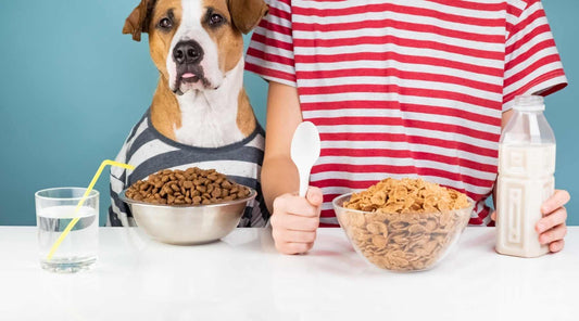 Vegan Dog Food and Treats for your lovely Dog