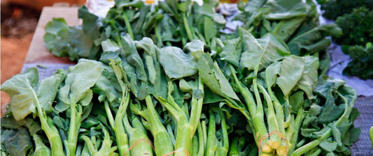 How To Get Calcium On a Plant-Based Diet - PlantX US