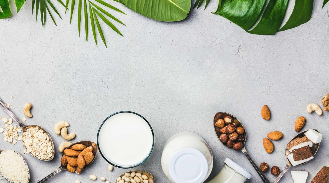 What is the Difference Between Cruelty-Free and Vegan?