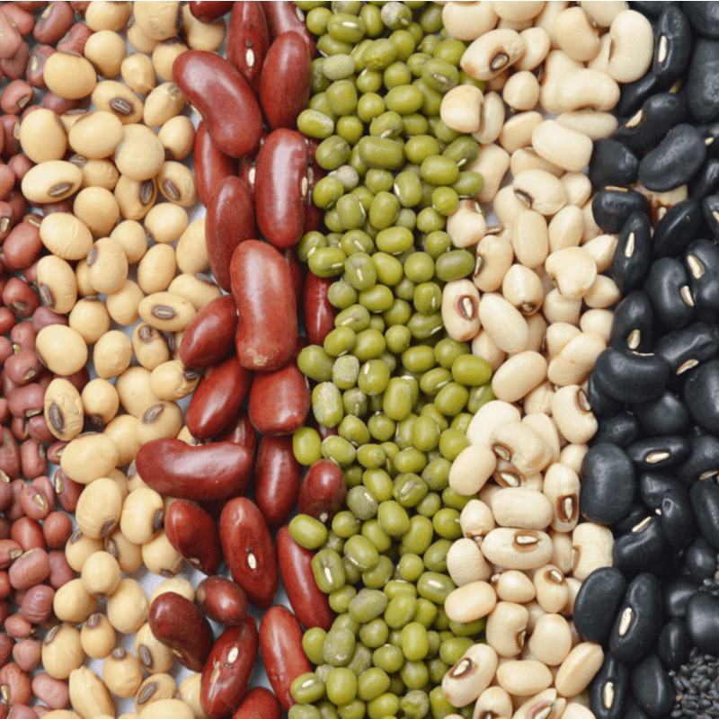 Is Plant-Based Protein Better? - PlantX US