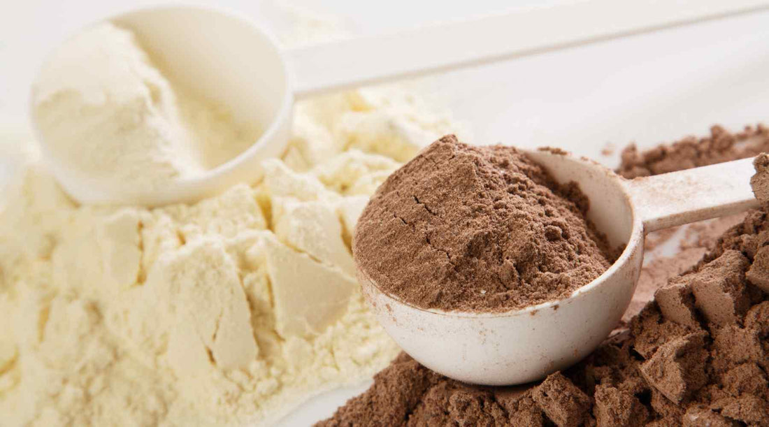 Vegan Protein Powders To Gain Weight