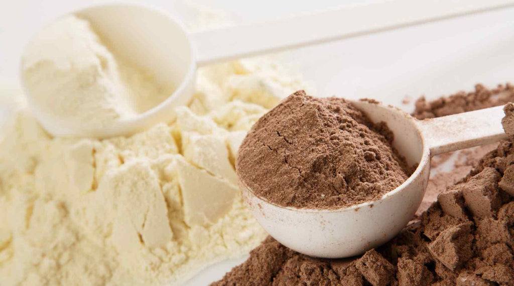 The 9 Best Vegan Protein Powders To Gain Weight In 2023