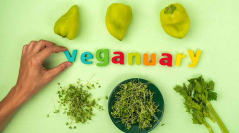 Veganuary and Beyond: How to Sustain a Vegan Lifestyle During January?