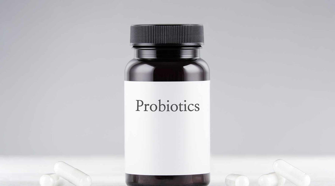 What Are Vegan Probiotics