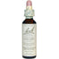 NELSON BACH - Flower Essence Chicory - 0.7floz