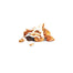 Creative Snacks - Apple Cinnamon Raisin Drizzlers, 10 Oz