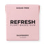 Refresh Gum - Raspberry Sugar-Free Chewing Gum 12 PC - Pack of 12