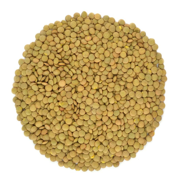 BULK EB - Organic Green Lentils, 50 Lbs