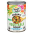 HEALTH VALLEY - SOUP VEGETABLE NS ORG 15 OZ - Pack of 1