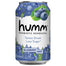 Humm - Blueberry Mint Zero Kombucha Zero, 12fl