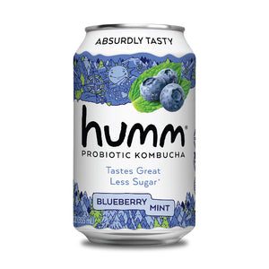 Humm - Kombucha, 12oz | Multiple Flavors | Pack of 6