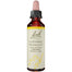 NELSON BACH FLOWER HORNBEAM 20 ML - Pack of 1