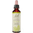 NELSON BACH FLOWER WHITE CHESTNUT 20 ML - Pack of 1