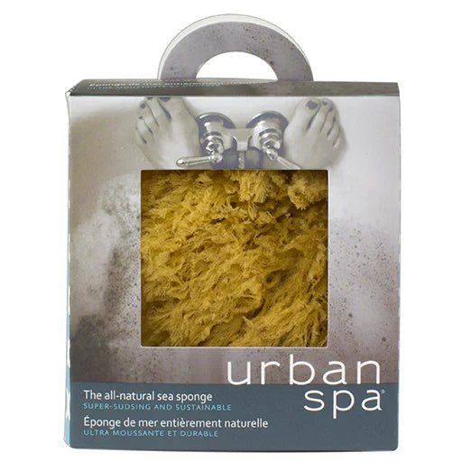 Urban Spa Sponge All Natural Sea 1 Ea - Pack Of 3