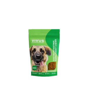 Vivus - Gastrointestinal Support Supplement Chews, 100g